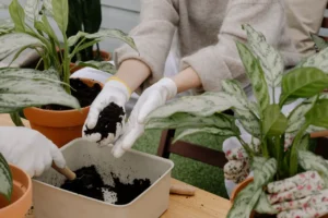 Urban Gardening: Gärtnern ohne eigenen Garten