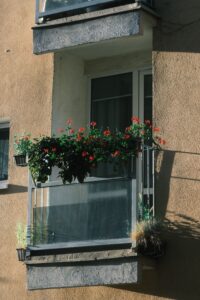 Balkon in eine grüne Oase verwandeln