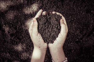 Gartenboden analysieren und richtig einschätzen