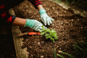 Gartenarbeit im Frühling: Die wichtigsten Bodenvorbereitungen