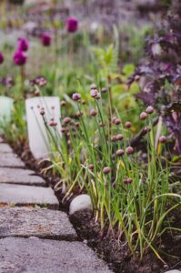 So legst du ein nachhaltiges Blumenbeet an