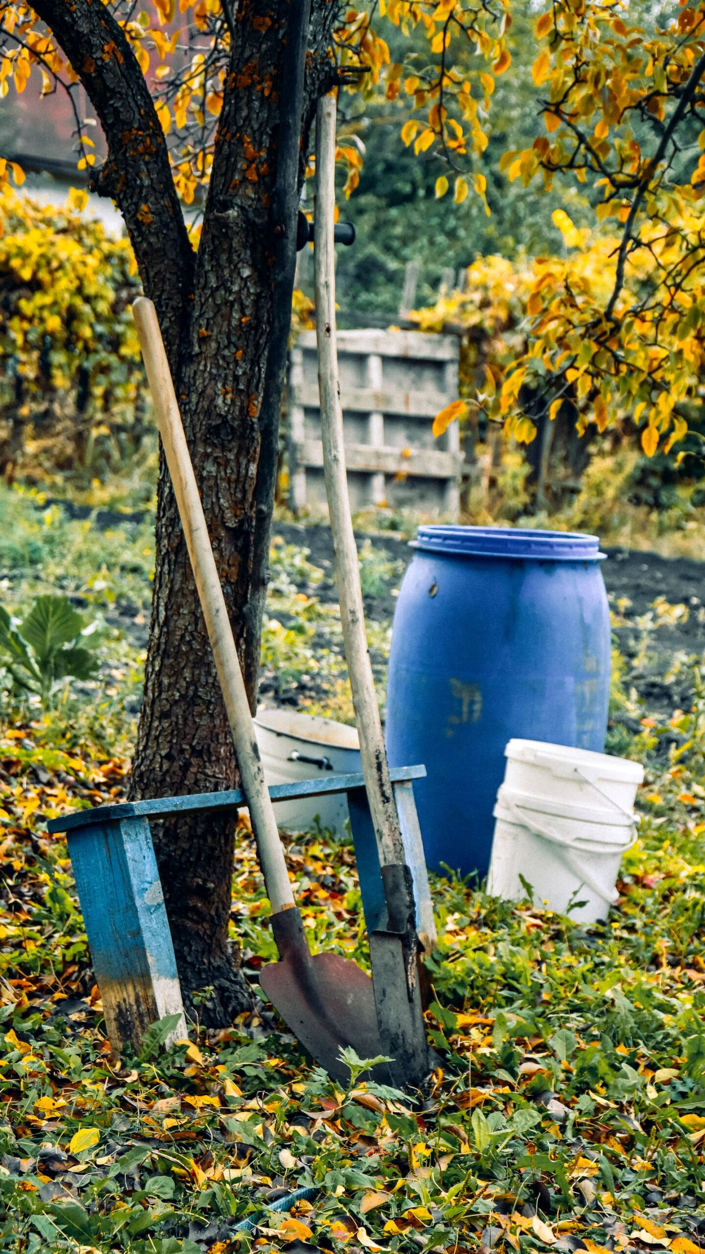 Herbstlicher Garten mit Werkzeug, Laub und Pflanzgefäßen unter einem Baum