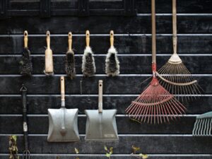 Die wichtigsten Gartenbegriffe einfach erklärt