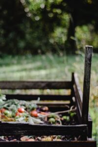 Der Kreislauf der Natur: Vom Kompost zur fruchtbaren Erde