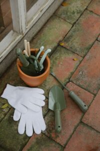 Saisonkalender für die Gartenarbeit