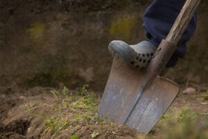 Verdichtete Böden lockern – natürliche Methoden