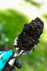 Die Bedeutung des pH-Werts im Gartenboden